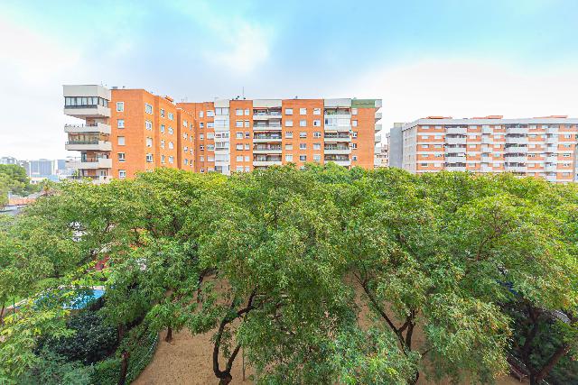 Imagen 34 Inmueble 300310 - Piso en venta en Barcelona / Av. Xile - Club Esportiu Laietà