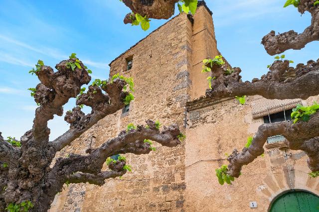 Imagen 4 Inmueble 302005 - Casa en venta en Siurana / Alt Empordà - Siurana