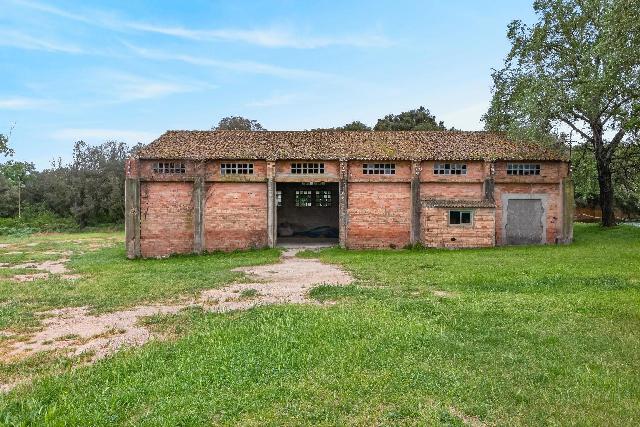 Imagen 13 Inmueble 302005 - Casa en venta en Siurana / Alt Empordà - Siurana