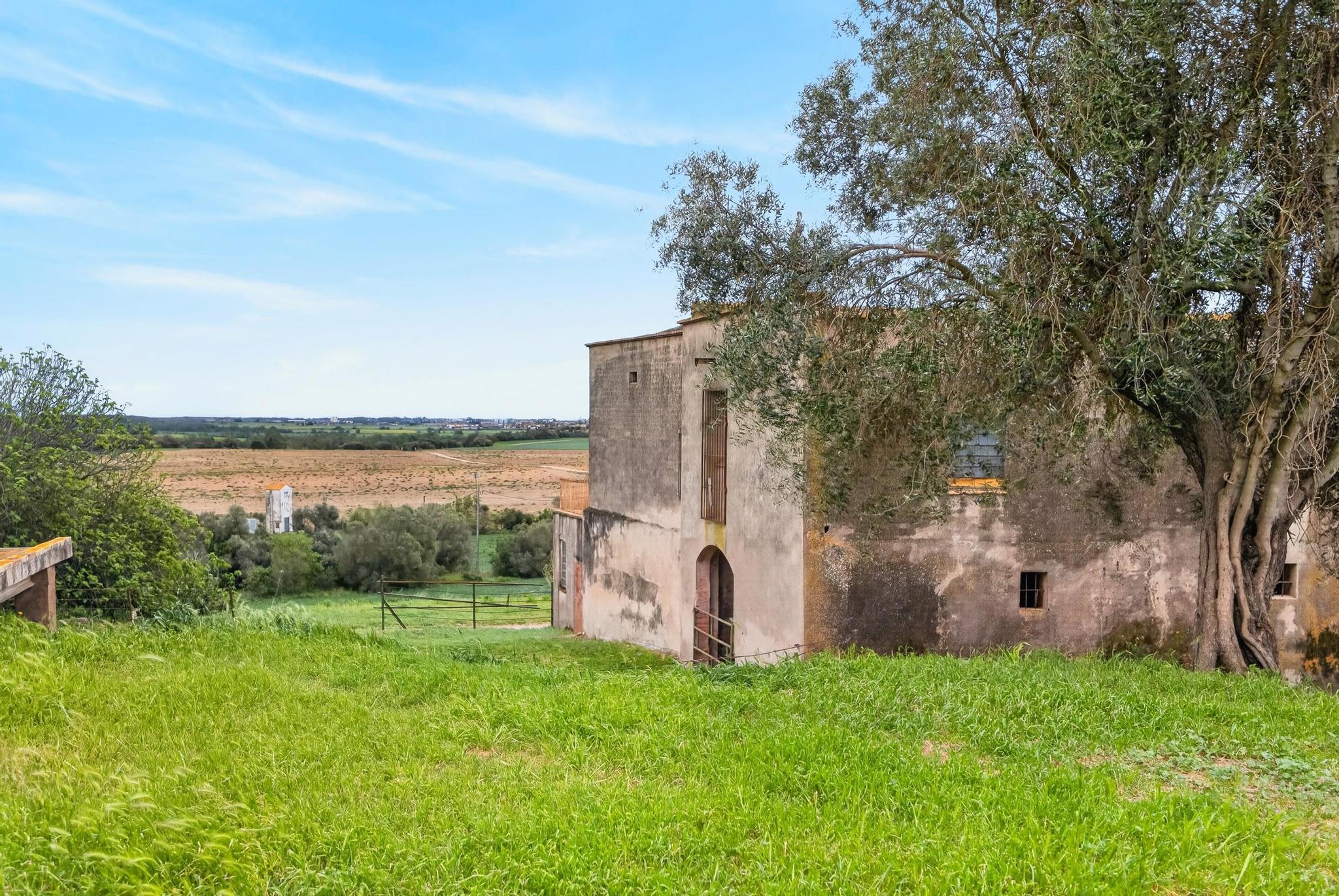 Imagen 24 Casa en venta en Siurana / Alt Empordà - Siurana