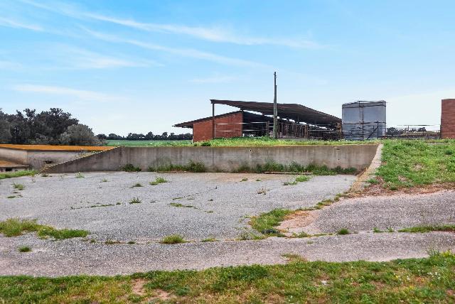 Imagen 33 Inmueble 302005 - Casa en venta en Siurana / Alt Empordà - Siurana