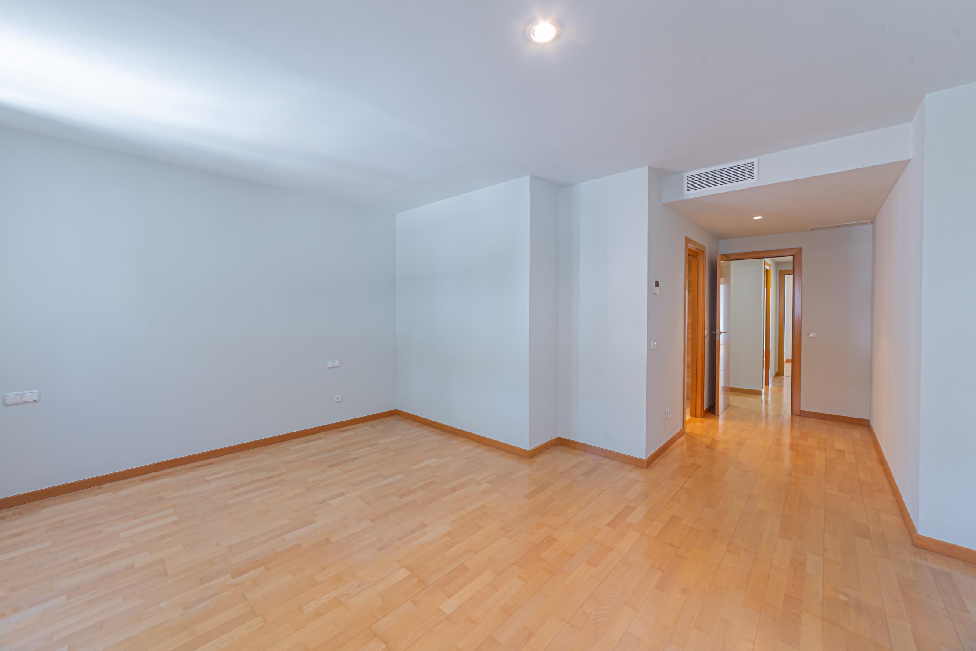 Imagen 20 Piso en alquiler en Barcelona / Jardines Santa Amelia 