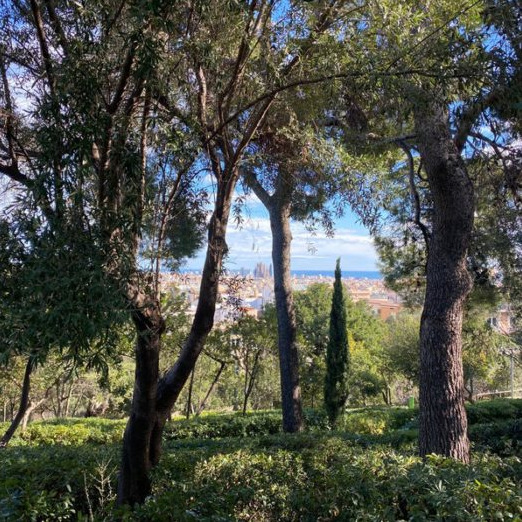 Imagen 4 Piso en venta en Barcelona / Próximo a Parque de Monterols