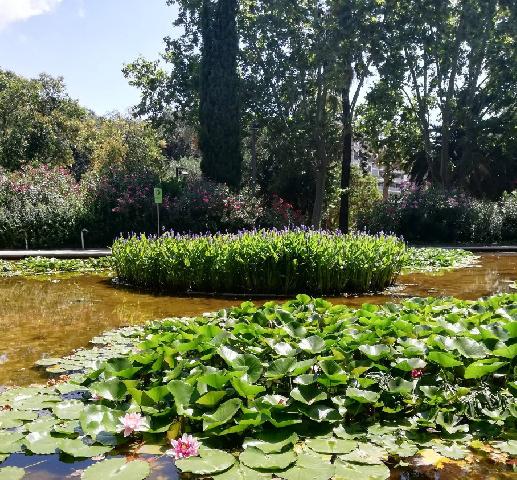 Imagen 2 Inmueble 306656 - Piso en venta en Barcelona / Galvany - Reina Victoria