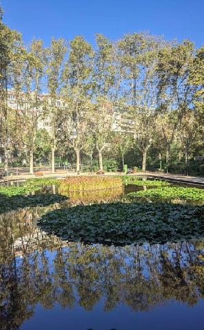 Imagen 3 Inmueble 306656 - Piso en venta en Barcelona / Galvany - Reina Victoria