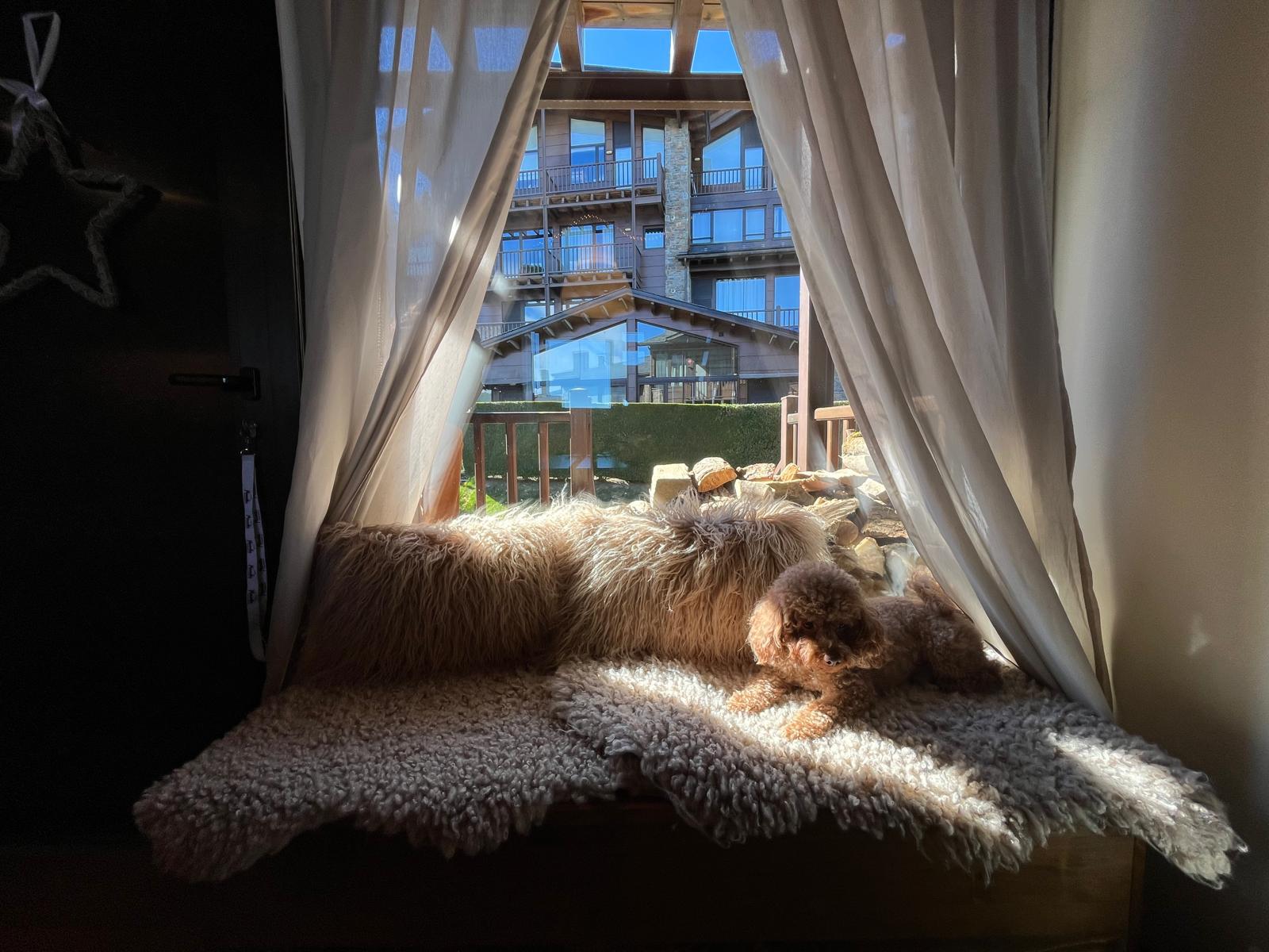 Imagen 25 Apto. Montaña en venta en Alp / Pleta de Masella 1600 Imagen 25 Apto. Montaña en venta en Alp / Pleta de Masella 1600