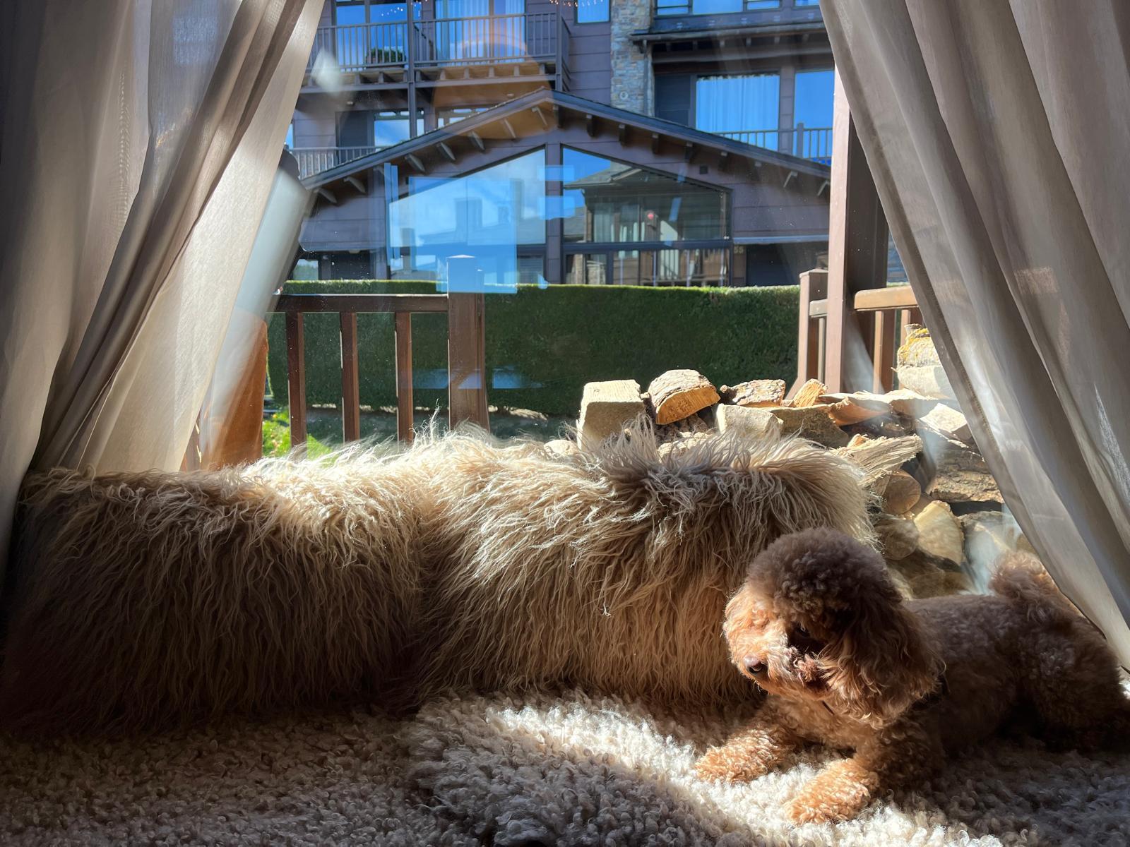 Imagen 7 Apto. Montaña en venta en Alp / Pleta de Masella 1600 Imagen 7 Apto. Montaña en venta en Alp / Pleta de Masella 1600