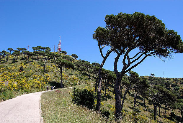 Imagen 2 Casa en venta en Esplugues De Llobregat / Al lado del Colegio Alemán, Zona alta de Esplugues