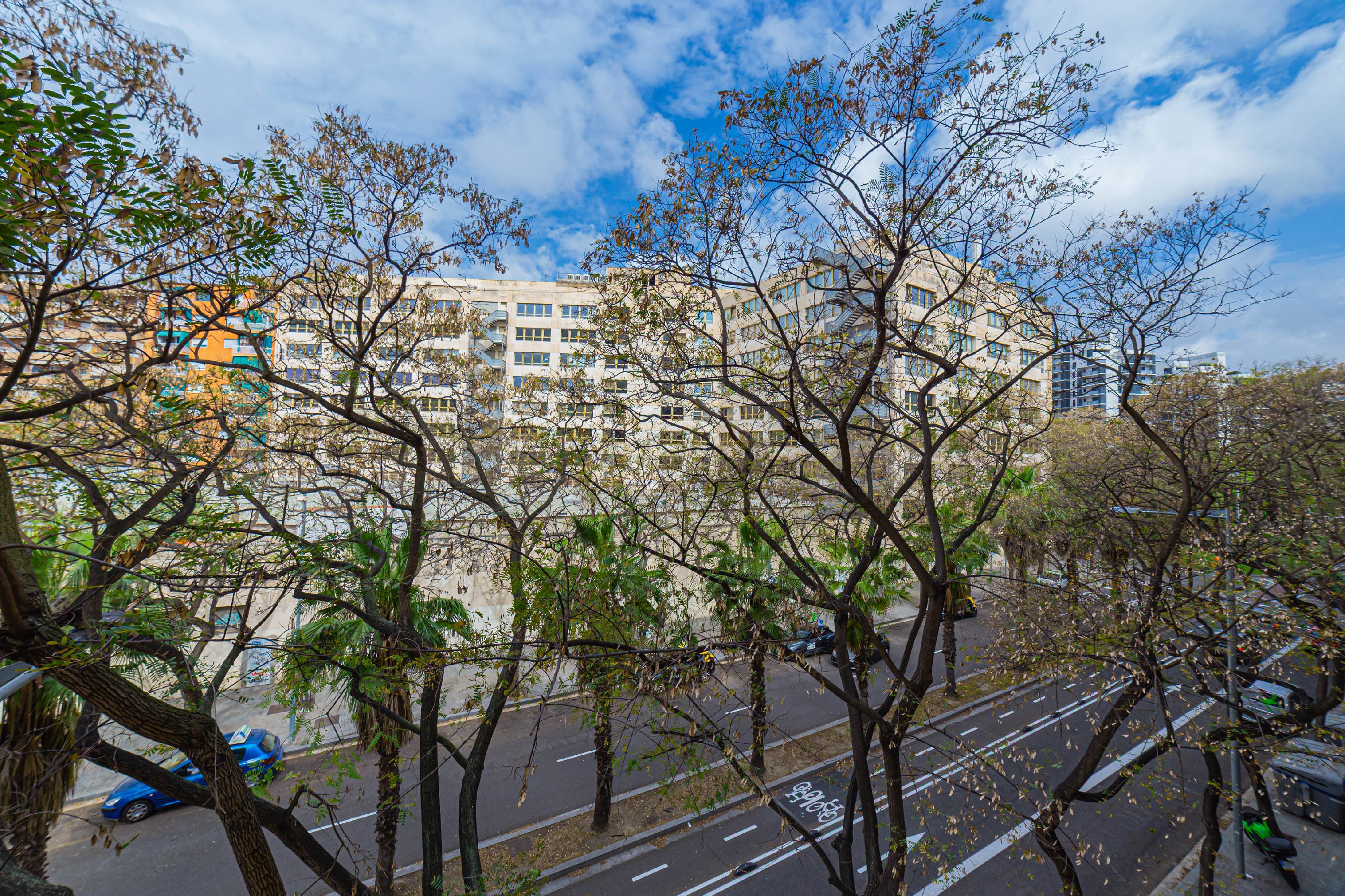 Imagen 22 Piso en venta en Barcelona / Cerca de Plaza España y Parque de Font Florida