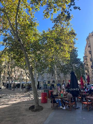 Imagen 19 Inmueble 302815 - Piso en venta en Barcelona / A 10 min. Playa Sant Miquel