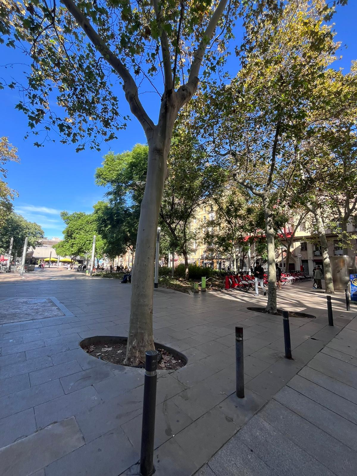 Imagen 22 Piso en venta en Barcelona / A 10 min. Playa Sant Miquel