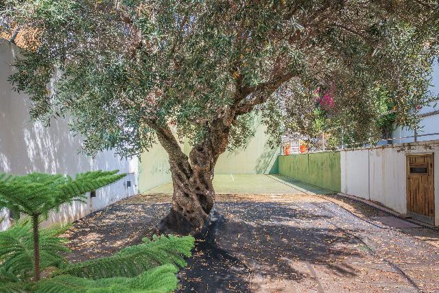 Imagen 12 Inmueble 303308 - Casa en venta en Sant Just Desvern / Al lado de Rambla Sant Just 